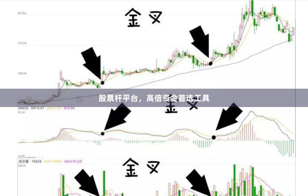 股票杆平台，高倍资金首选工具