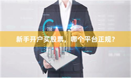 新手开户买股票，哪个平台正规？